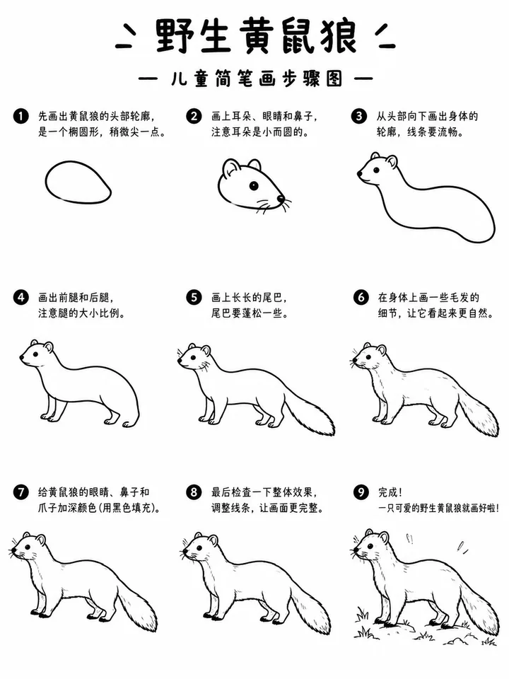 宝宝简笔画蓬松尾巴野生黄鼠狼