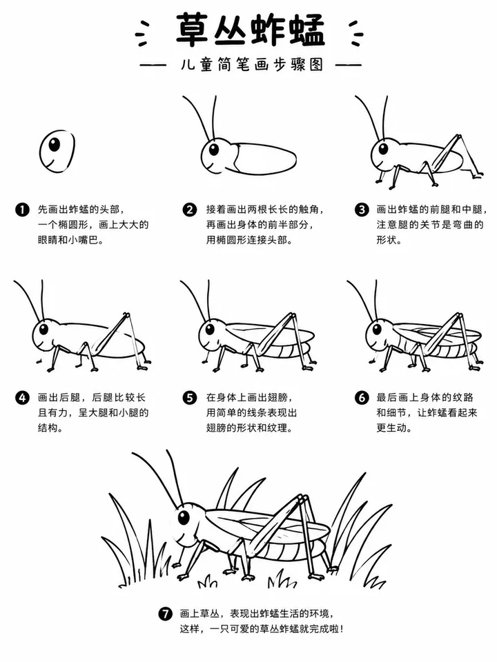 草丛蚱蜢简笔画图片大全，用线条勾勒出绿野小精灵