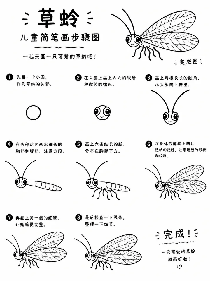 草蛉简笔画 八步画出轻盈小精灵