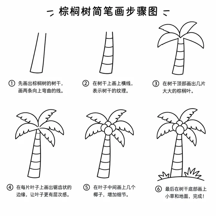 线条简笔画勾勒海滩棕榈树的清新画法