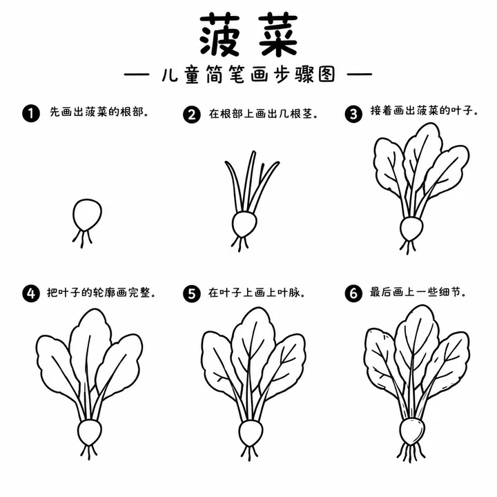 宝宝简笔画｜圆润可爱的菠菜这样画