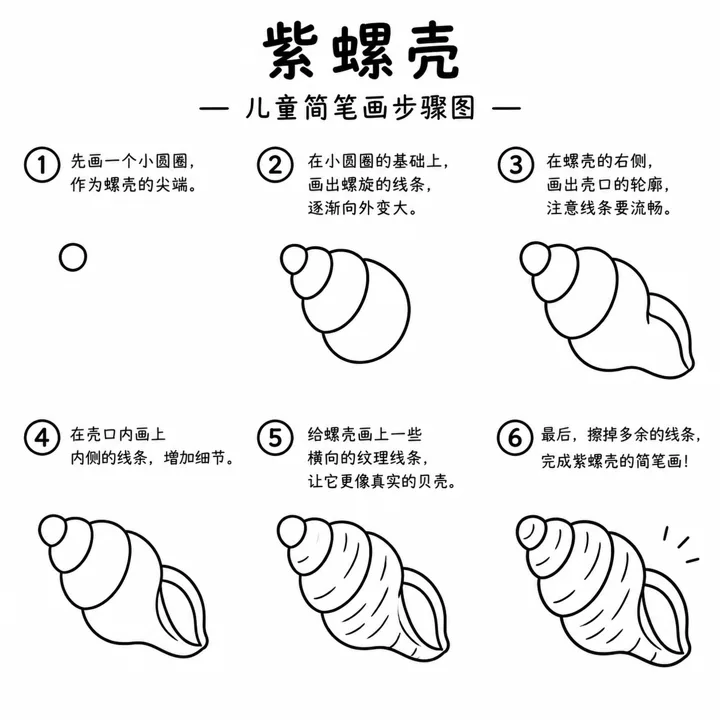 宝宝简笔画螺旋紫螺壳轻松勾勒