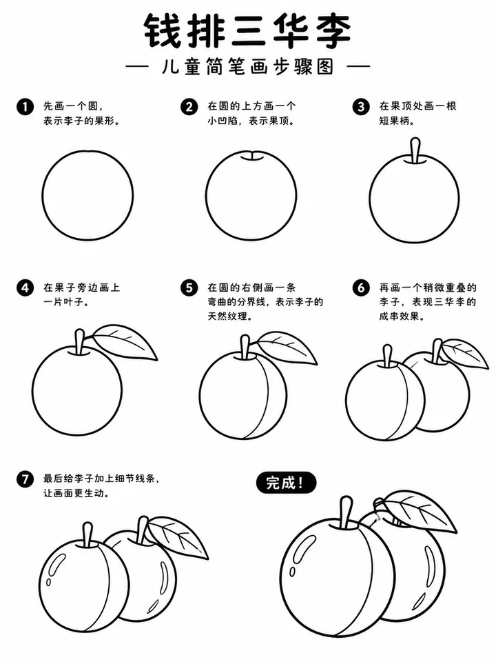 钱排三华李简笔画步骤图，零基础也能画成串果实